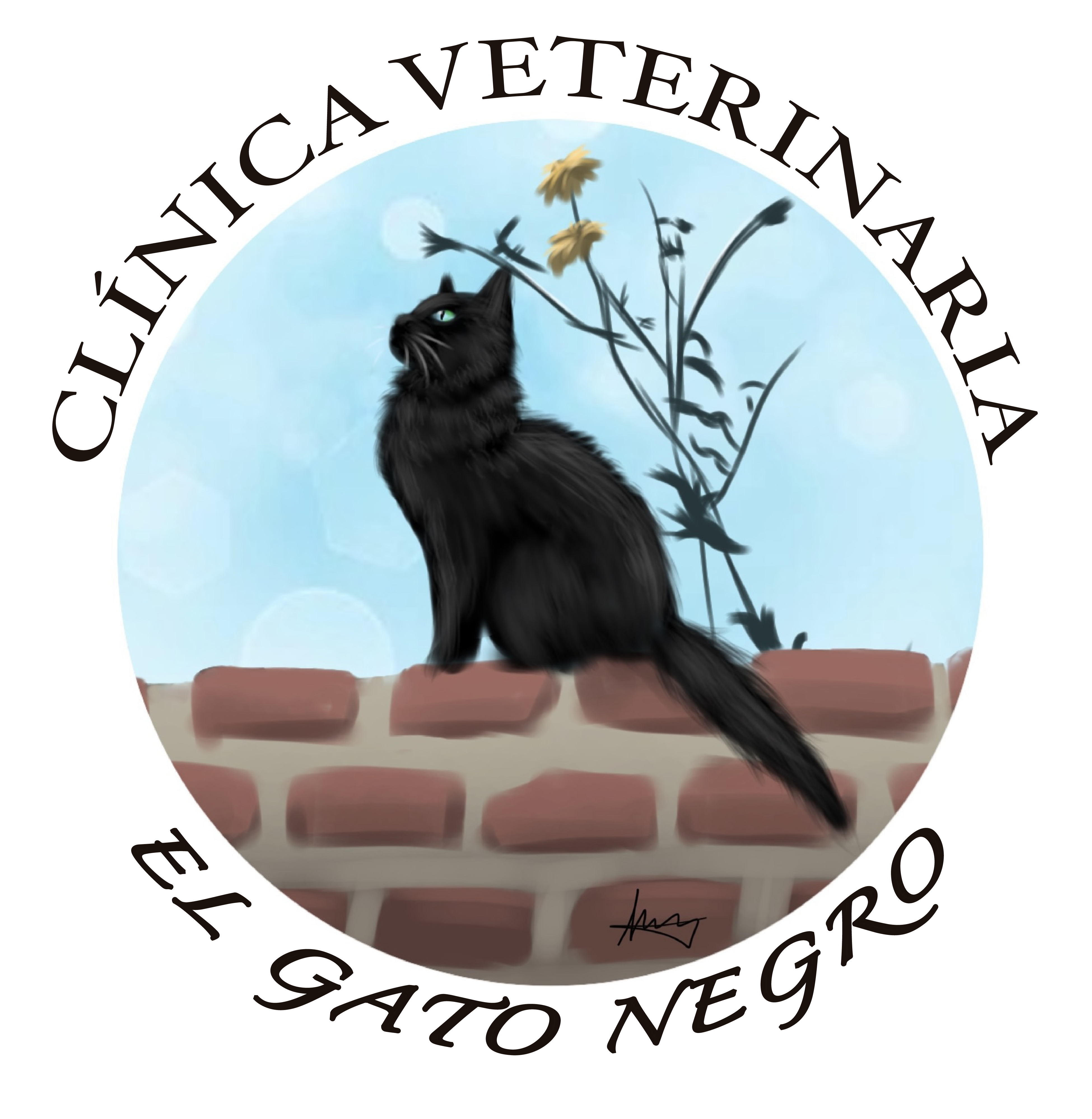 Clínica veterinaria El Gato Negro